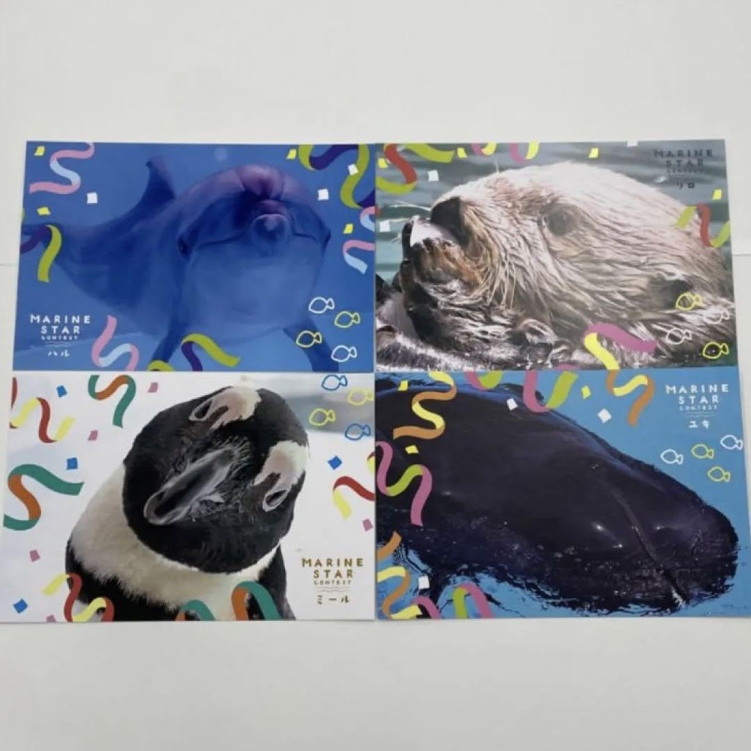 Amazon.co.jp: マリンワールド A6クリアファイル ポストカード 4